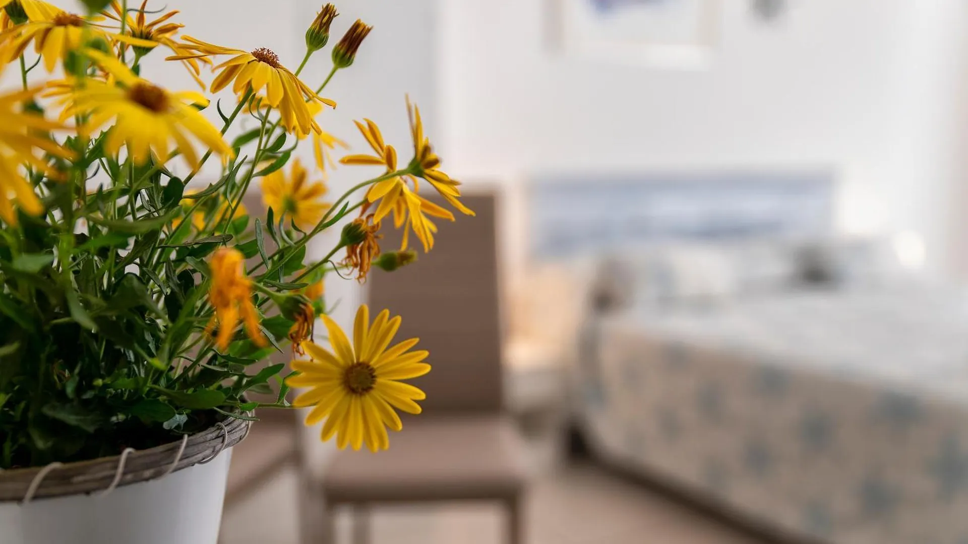 Bed and Breakfast Horizon Alghero Bed & Breakfast